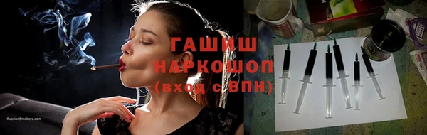 хмурый Алексин