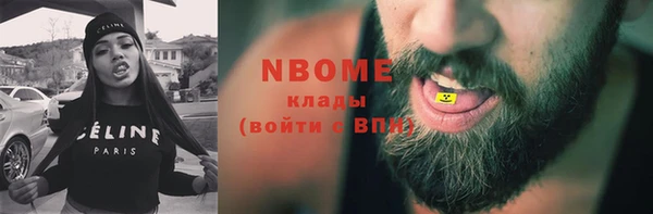 хмурый Алексин