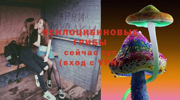 хмурый Алексин