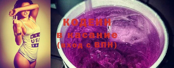 хмурый Алексин