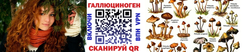 shop наркотические препараты  Владивосток  Псилоцибиновые грибы MAGIC MUSHROOMS 