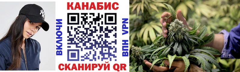 где продают   Владивосток  Каннабис ГИДРОПОН 